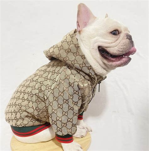 replica gucci dog clothes|luxury designer dog clothes.